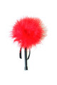 Red Marabou Feather Duster - Unique Sensations for Couples
