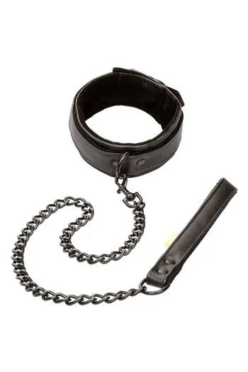 Adult Collar with Leash - Domination and Control in Play