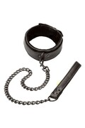 Adult Collar with Leash - Domination and Control in Play