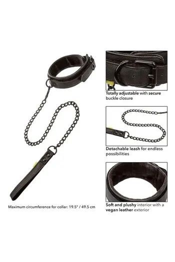 Adult Collar with Leash - Domination and Control in Play