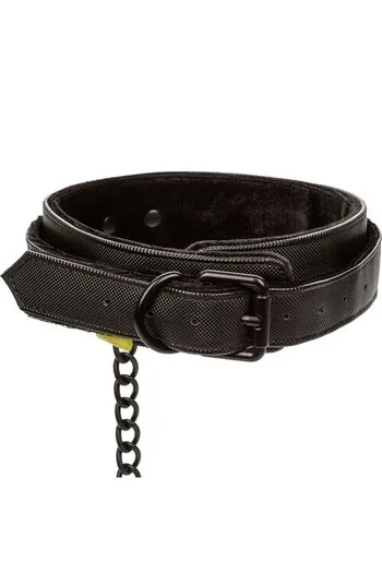 Adult Collar with Leash - Domination and Control in Play