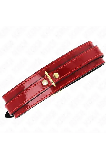 Collari e Collari con Guinzaglio KINK: Eleganza e Controllo