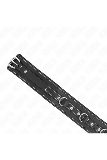 KINK Collars and Leash Collars: Elegance and Control