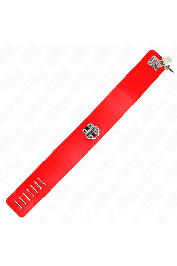 Collari e Collari con Guinzaglio KINK: Eleganza e Controllo