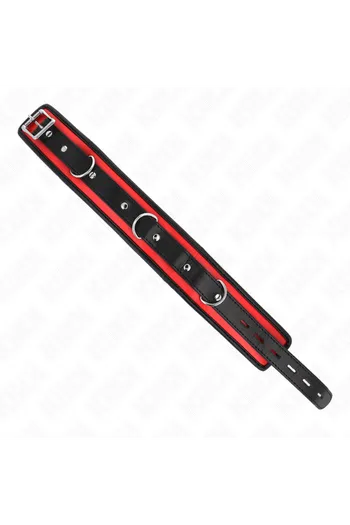 Collars and Leash Collars: Elegance and Control