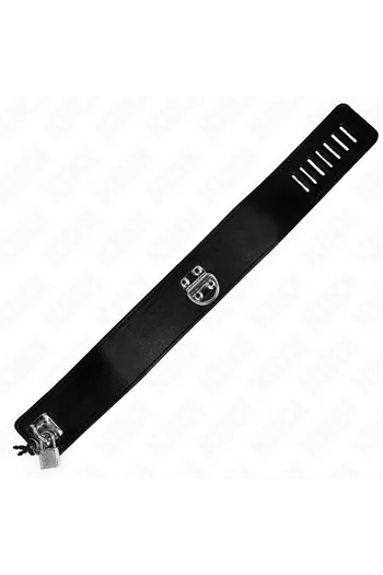 Collars and Leash Collars: Elegance and Control