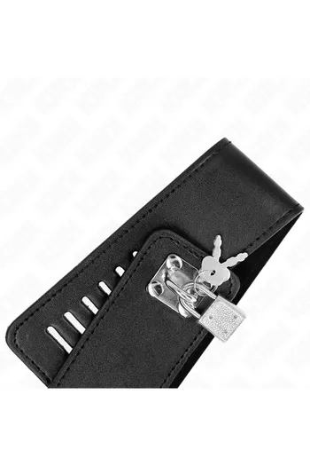 Collars and Leash Collars: Elegance and Control