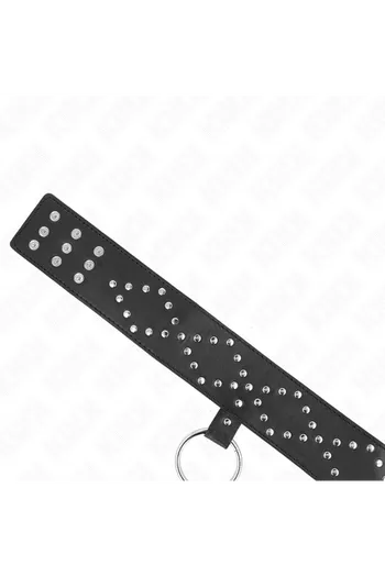 KINK Collars and Leash Collars: Elegance and Control
