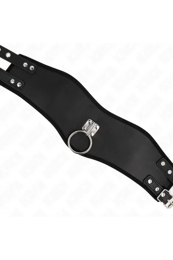 Collari e Collari con Guinzaglio: Eleganza e Controllo