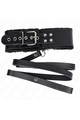 KINK Collars and Leash Collars: Elegance and Control