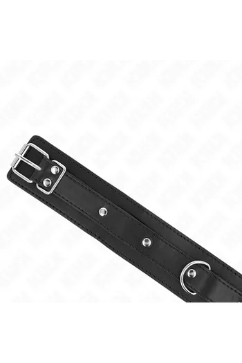 Collars and Leashed Collars: Elegance and Control