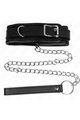 Collars and Leash Collars: Elegance and Control