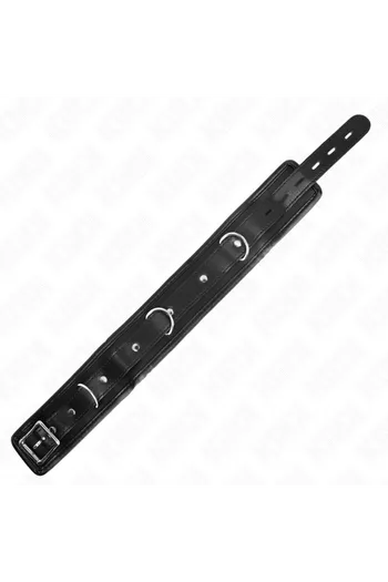 Collars and Leash Collars: Elegance and Control