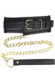 KINK Collars and Leash Collars: Elegance and Control