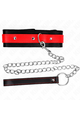 Collars and Leash Collars: Elegance and Control