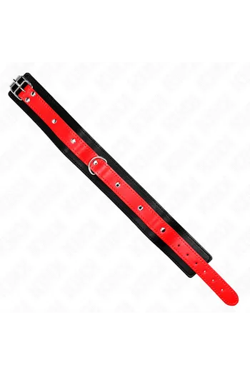 Collars and Leash Collars: Elegance and Control