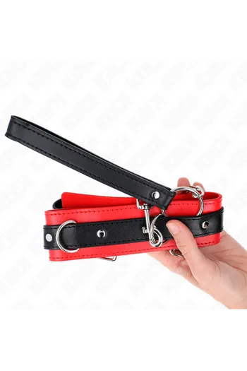 Collars and Leash Collars: Elegance and Control