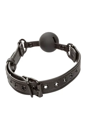 Nocturnal Collection Ball Gag - Safe Silicone for Sensory Adventures