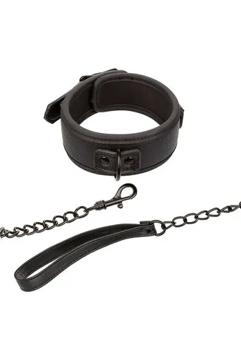 Nocturnal Collection Collar & Leash: Elegance and Control in Sensual Play