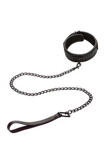 Nocturnal Collection Collar & Leash: Elegance and Control in Sensual Play
