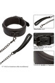 Nocturnal Collection Collar & Leash: Elegance and Control in Sensual Play