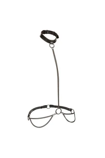 Euphoria Collection: Transformable Chain Leash and Collar - Elegance and Control