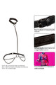 Euphoria Collection: Transformable Chain Leash and Collar - Elegance and Control