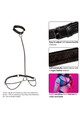 Euphoria Collection Plus Size Chain Halter/Collar & Leash - Luxury and Desire for Curves