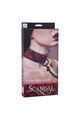 Scandal Collar with Leash - Elegant Domination and Exciting Submission | CalExotics