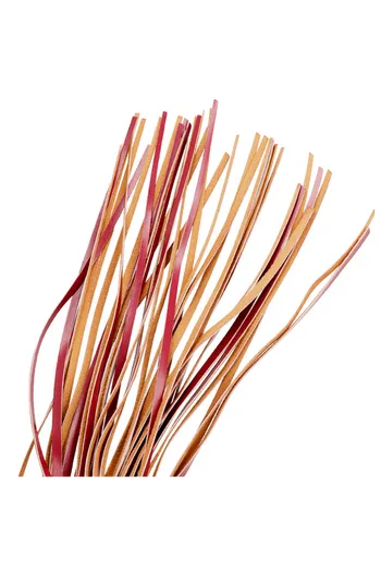 Fetish Submissive Origin - Vegan Leather Whip for BDSM Play