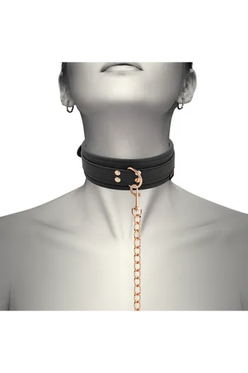 COQUETTE CHIC DESIRE FANTASY BDSM Collar - Control and Safety in Play
