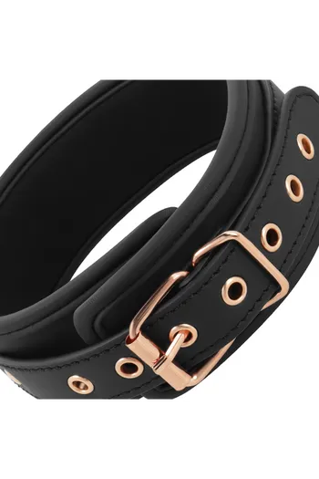 COQUETTE CHIC DESIRE FANTASY BDSM Collar - Control and Safety in Play