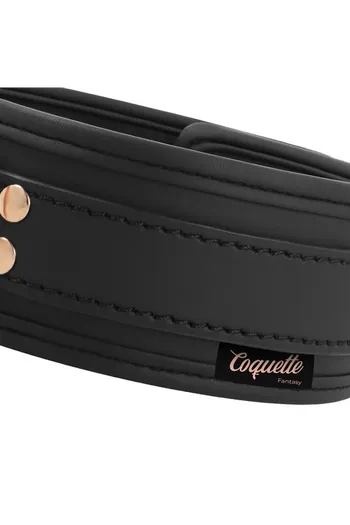 COQUETTE CHIC DESIRE FANTASY BDSM Collar - Control and Safety in Play