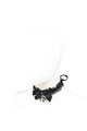 OHMAMA Fetish Collar with Bell - High-Quality Erotic Jewelry