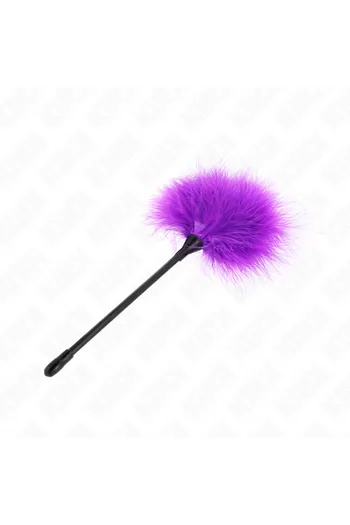 Whips, Floggers, Feathers, and Paddles: Power and Pleasure