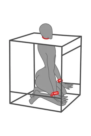 BUKKAKE Cabin by Secret Dome: Sensory Experience and Power Play | Revive Tradition