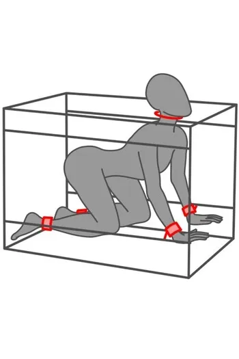 LA NICHE - Intimate Play Booth for Immersive BDSM Experiences