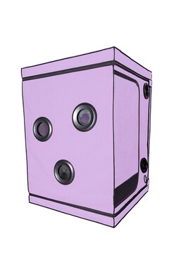 SCANDALE - Púrpura: Cabina per BDSM con Accessori | Esplora i Limiti del Desiderio