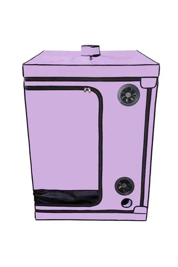 SCANDALE - Púrpura: Cabina per BDSM con Accessori | Esplora i Limiti del Desiderio