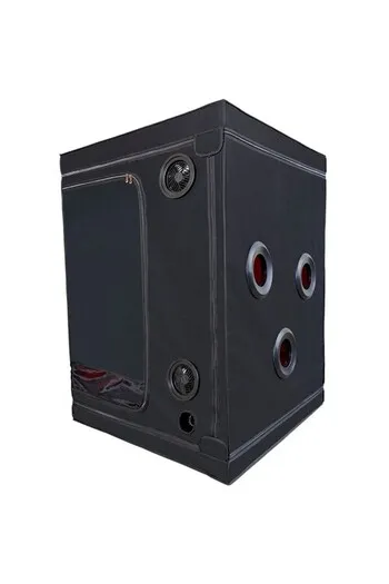 SCANDALE - Black & Red: Submission and Control Experience | Premium BDSM Booth