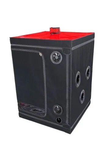 SCANDALE - Black & Red: Submission and Control Experience | Premium BDSM Booth