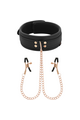 BDSM Collar with Nipple Clamps and Chain