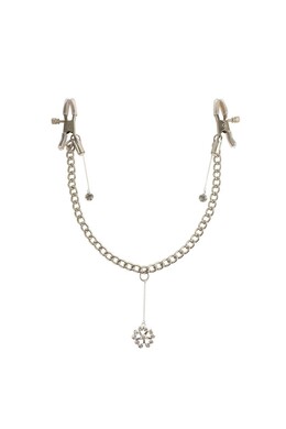 Nipple Clamps with Metal Chain and Details
