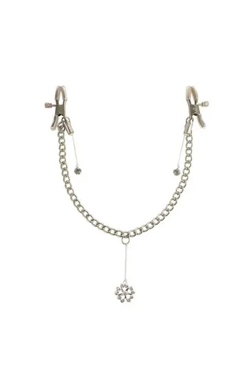 Nipple Clamps with Metal Chain and Details