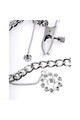 Nipple Clamps with Metal Chain and Details