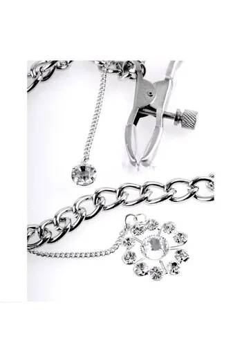 Nipple Clamps with Metal Chain and Details
