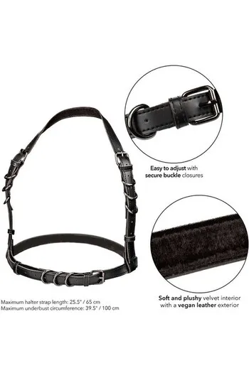 Halter Buckle Harness: Elegance and Sensuality