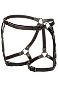 Riding Thigh Harness Euphoria Collection - Premium Accessory for Intimate Moments