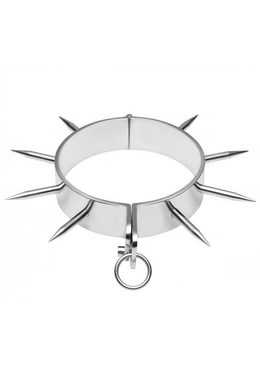 Chrome Metal Collar with Allen Key Lock - High Quality Bondage Accessory