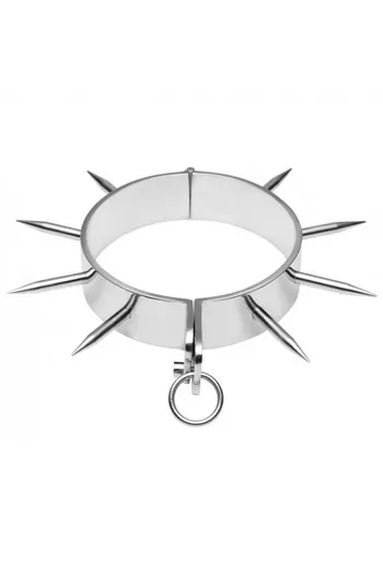 Chrome Metal Collar with Allen Key Lock - High Quality Bondage Accessory